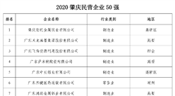 2020肇慶民營企業50強排行榜