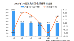 2020年7月黑龍江發電量數據統計分析