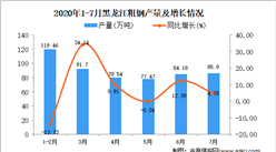 2020年7月黑龙江粗钢产量数据统计分析