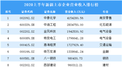 2020上半年新疆上市企業營業收入排行榜