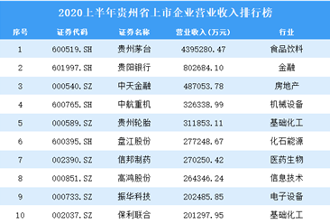 2020上半年貴州省上市企業30強排行榜