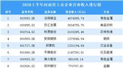 2020上半年河南省上市企业50强排行榜