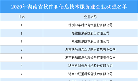 2020年湖南省软件和信息技术服务业企业50强公示名单出炉（附详细名单）