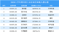 2020上半年四川省上市企业100强排行榜