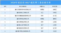 2020年重庆市100户成长型工业企业名单出炉（附完整名单）