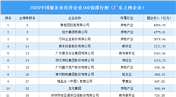 2020中國服務業民營企業100強排行榜：廣東24家企業上榜（附榜單）