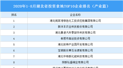 产业地产投资情报：2020年1-8月湖北省投资拿地TOP10企业排名（产业篇）