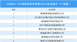 产业地产投资情报：2020年1-8月青海省投资拿地TOP10企业排名（产业篇）