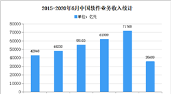 2020年中国集团管理软件市场现状及发展趋势预测分析