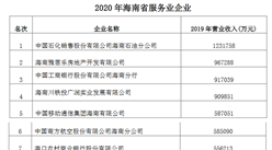 2020年海南省服務業企業排行榜
