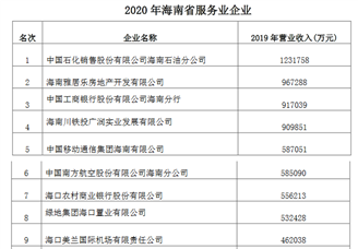 2020年海南省服务业企业排行榜