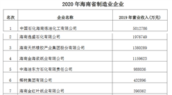 2020年海南省制造業企業排行榜