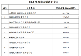2020年海南省制造业企业排行榜