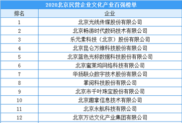 2020年北京市民營企業文化產業百強排行榜