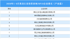 產業地產投資情報：2020年1-9月黑龍江省投資拿地TOP10企業排名（產業篇）