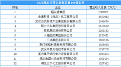 2020年湖北省民營企業制造業100強排行榜