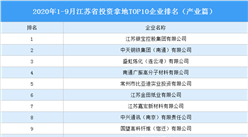 產業地產投資情報：2020年1-9月江蘇省投資拿地TOP10企業排名（產業篇）