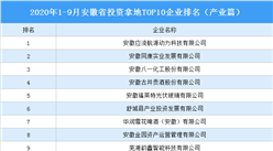 產業地產投資情報：2020年1-9月安徽省投資拿地TOP10企業排名（產業篇）