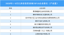 產業地產投資情報：2020年1-9月江西省投資拿地TOP10企業排名（產業篇）