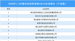 產業地產投資情報：2020年1-9月湖北省投資拿地TOP10企業排名（產業篇）