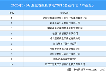产业地产投资情报:2020年1-9月湖北省投资拿地TOP10企业排名(产业篇)