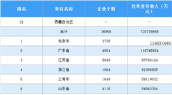 中國軟件行業區域發展差異明顯 北京仍是軟件業務收入第一城（圖）