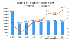2020年1-9月中国粗钢产量数据统计分析