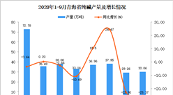 2020年9月青海省纯碱产量数据统计分析