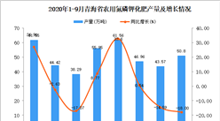 2020年9月青海省农用氮磷钾化肥产量数据统计分析