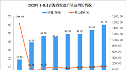 2020年9月青海省原鹽產量數據統計分析