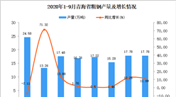 2020年9月青海省粗钢产量数据统计分析