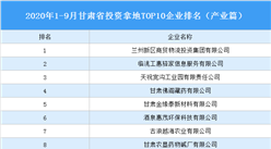 产业地产投资情报：2020年1-9月甘肃省投资拿地TOP10企业排名（产业篇）