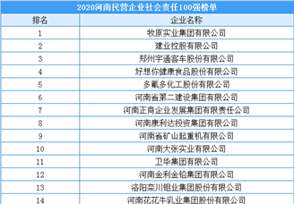 2020年河南省民营企业社会责任100强排行榜
