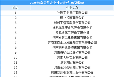 2020年河南省民营企业社会责任100强排行榜