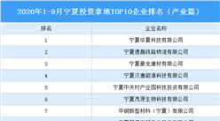产业地产投资情报：2020年1-9月宁夏投资拿地TOP10企业排名（产业篇）