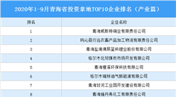 产业地产投资情报：2020年1-9月青海省投资拿地TOP10企业排名（产业篇）