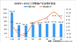 2020年9月辽宁省粗钢产量数据统计分析