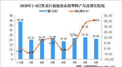 2020年9月黑龙江初级形态的塑料产量数据统计分析
