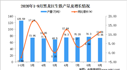 2020年9月黑龙江生铁产量数据统计分析