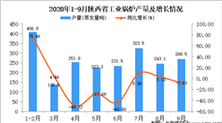 2020年9月陕西省工业锅炉产量数据统计分析