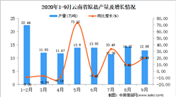 2020年9月云南省原鹽產量數據統計分析