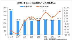 2020年9月云南省粗钢产量数据统计分析