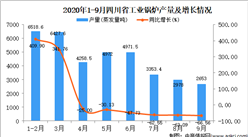 2020年9月四川省工业锅炉产量数据统计分析
