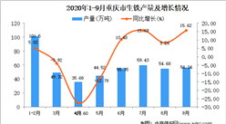 2020年9月重庆市生铁产量数据统计分析