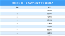 2020年1-10月山东省产业投资前十城市排名（产业篇）