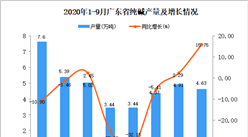 2020年9月广东纯碱产量数据统计分析