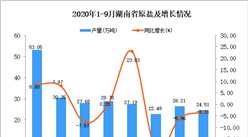 2020年9月湖南省原鹽產量數據統計分析