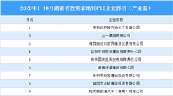 產業地產投資情報：2020年1-10月湖南省投資拿地TOP10企業排名（產業篇）