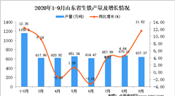 2020年9月山東省生鐵產量數據統計分析