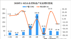 2020年9月山東省原鹽產量數據統計分析